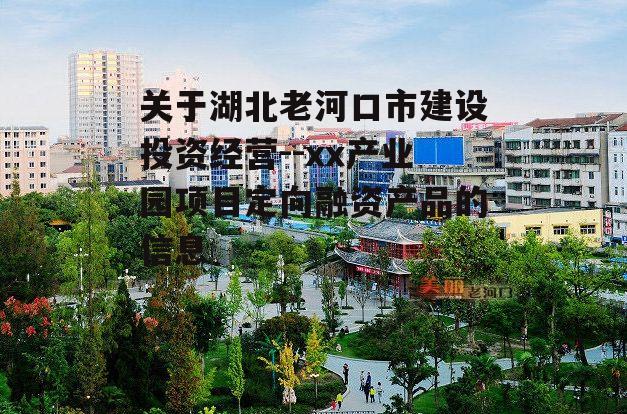 关于湖北老河口市建设投资经营--xx产业园项目定向融资产品的信息