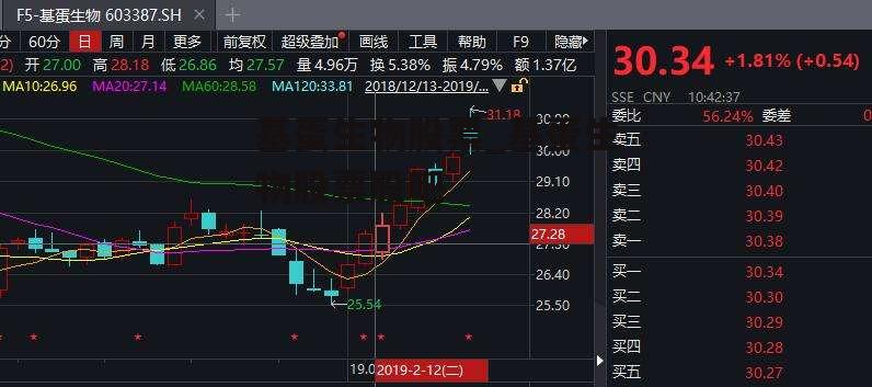 基蛋生物股票_基蛋生物股票股吧