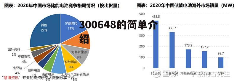 300648的简单介绍