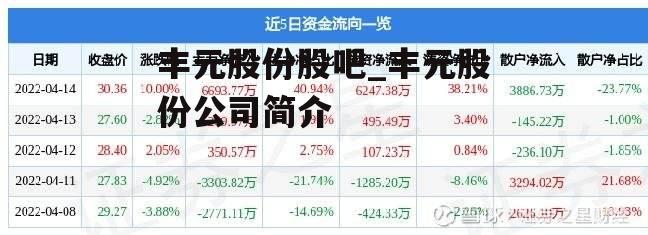 丰元股份股吧_丰元股份公司简介