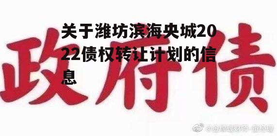 关于潍坊滨海央城2022债权转让计划的信息