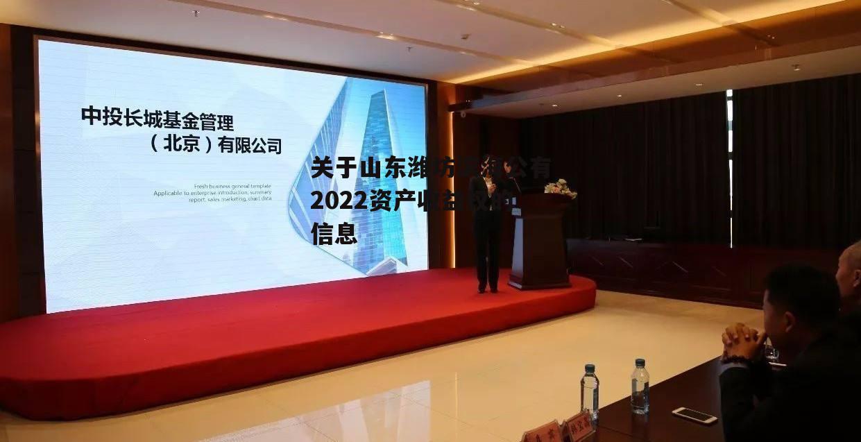 关于山东潍坊滨海公有2022资产收益权的信息