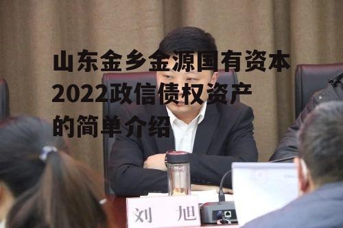 山东金乡金源国有资本2022政信债权资产的简单介绍