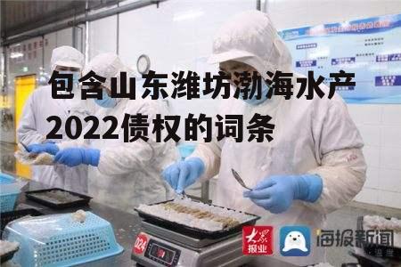 包含山东潍坊渤海水产2022债权的词条