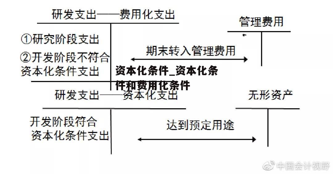 资本化条件_资本化条件和费用化条件