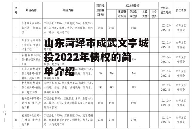 山东菏泽市成武文亭城投2022年债权的简单介绍