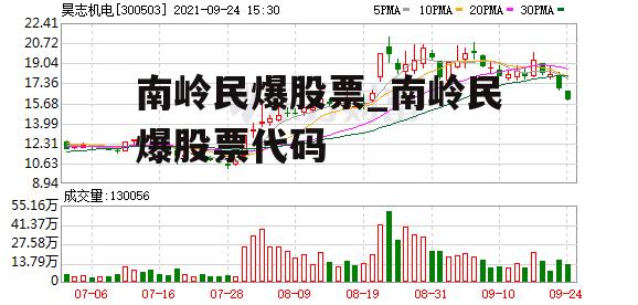 南岭民爆股票_南岭民爆股票代码