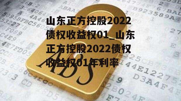 山东正方控股2022债权收益权01_山东正方控股2022债权收益权01年利率