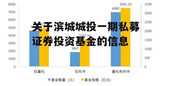 关于滨城城投一期私募证券投资基金的信息