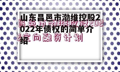 山东昌邑市渤维控股2022年债权的简单介绍