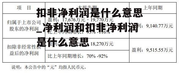 扣非净利润是什么意思_净利润和扣非净利润是什么意思