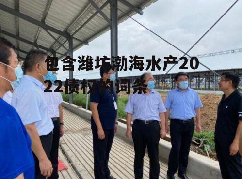 包含潍坊渤海水产2022债权的词条