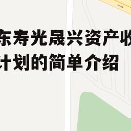 山东寿光晟兴资产收益权计划的简单介绍