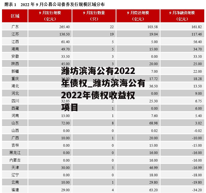 潍坊滨海公有2022年债权_潍坊滨海公有2022年债权收益权项目