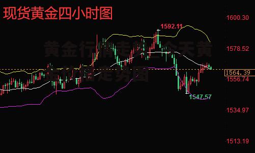 黄金行情走势_今天黄金价格走势图