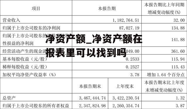 净资产额_净资产额在报表里可以找到吗