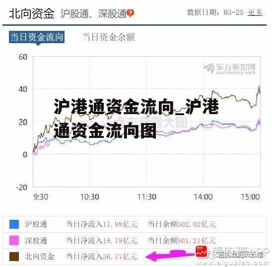 沪港通资金流向_沪港通资金流向图