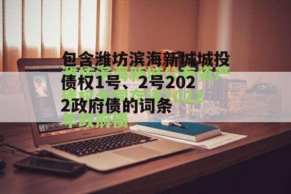 包含潍坊滨海新城城投债权1号、2号2022政府债的词条