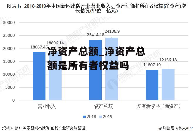 净资产总额_净资产总额是所有者权益吗