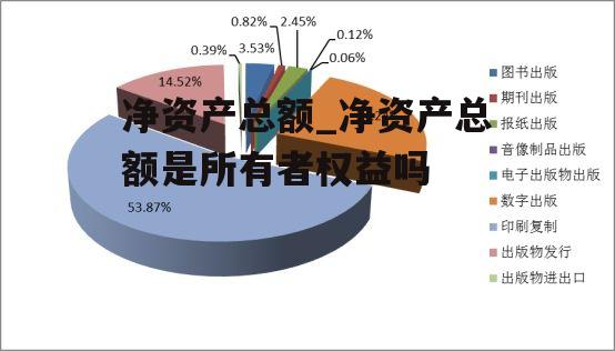 净资产总额_净资产总额是所有者权益吗