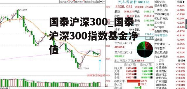 国泰沪深300_国泰沪深300指数基金净值