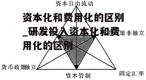 资本化和费用化的区别_研发投入资本化和费用化的区别