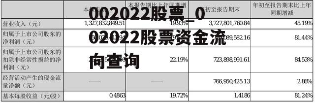 002022股票_002022股票资金流向查询