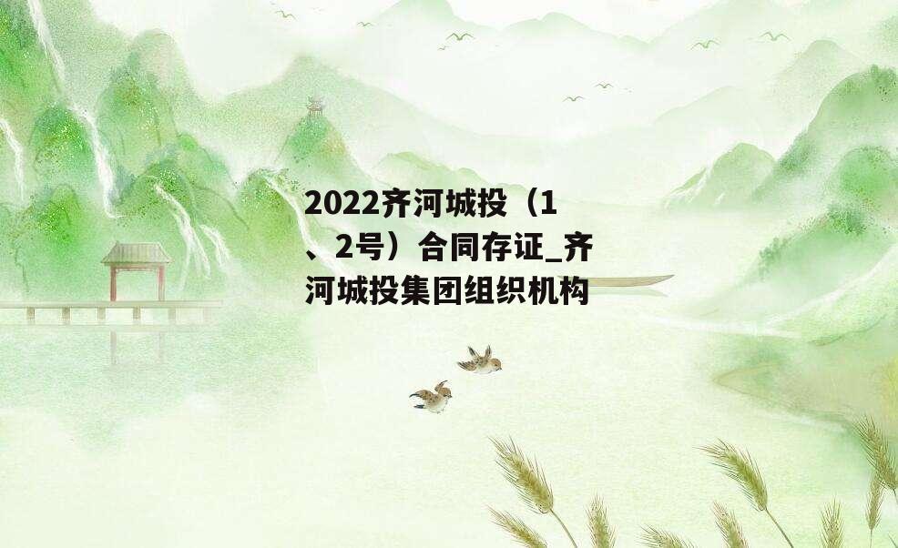 2022齐河城投（1、2号）合同存证_齐河城投集团组织机构