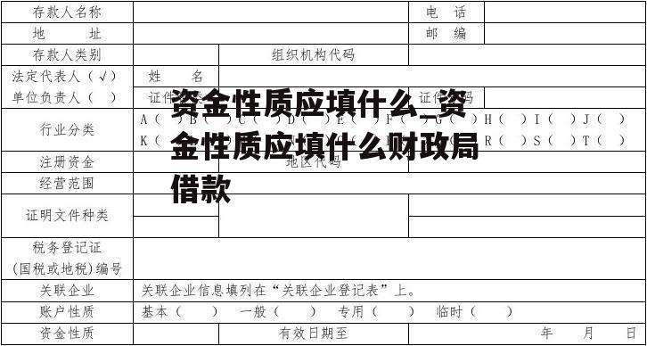 资金性质应填什么_资金性质应填什么财政局借款