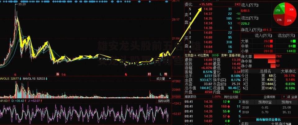 雄安龙头股前五名_雄安龙头股票有哪些