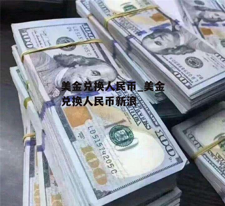 美金兑换人民币_美金兑换人民币新浪