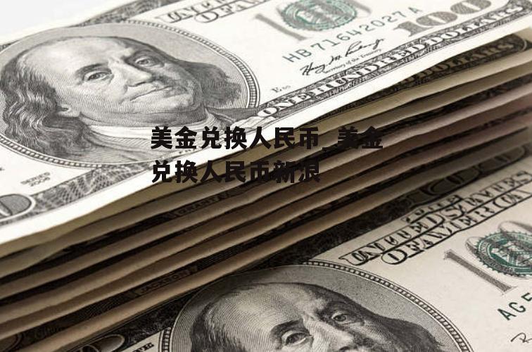 美金兑换人民币_美金兑换人民币新浪