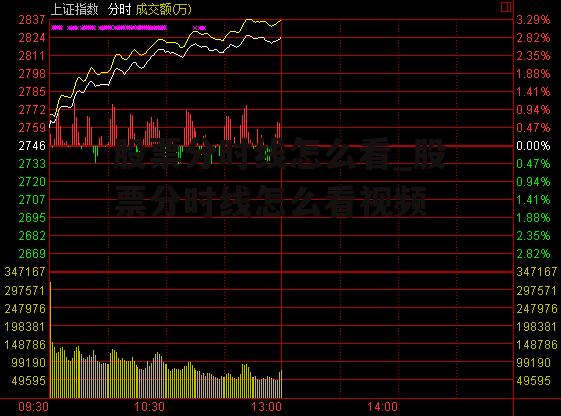 股票分时线怎么看_股票分时线怎么看视频