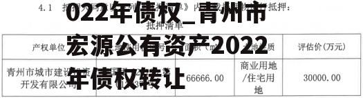 青州市宏源公有资产2022年债权_青州市宏源公有资产2022年债权转让