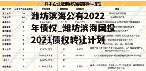 潍坊滨海公有2022年债权_潍坊滨海国投2021债权转让计划