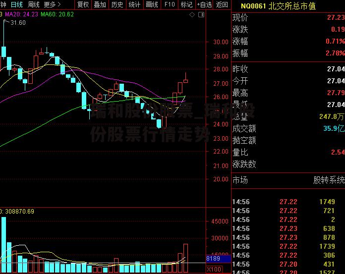 瑞和股份股票_瑞和股份股票行情走势