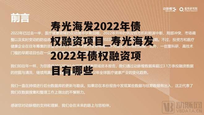 寿光海发2022年债权融资项目_寿光海发2022年债权融资项目有哪些