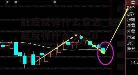 触底反弹什么意思_触底反弹什么意思d