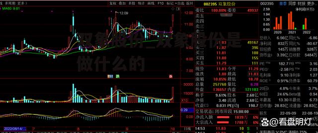 双象股份_双象股份是做什么的