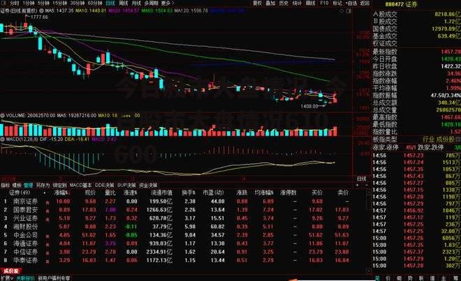 今日股市大盘情况_今日股市大盘情况610600