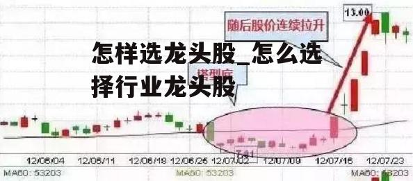 怎样选龙头股_怎么选择行业龙头股