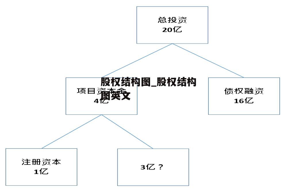 股权结构图_股权结构图英文