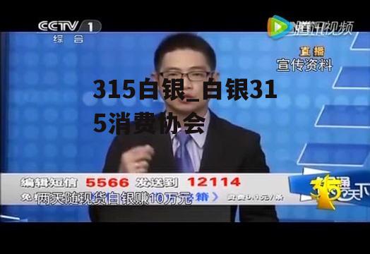 315白银_白银315消费协会