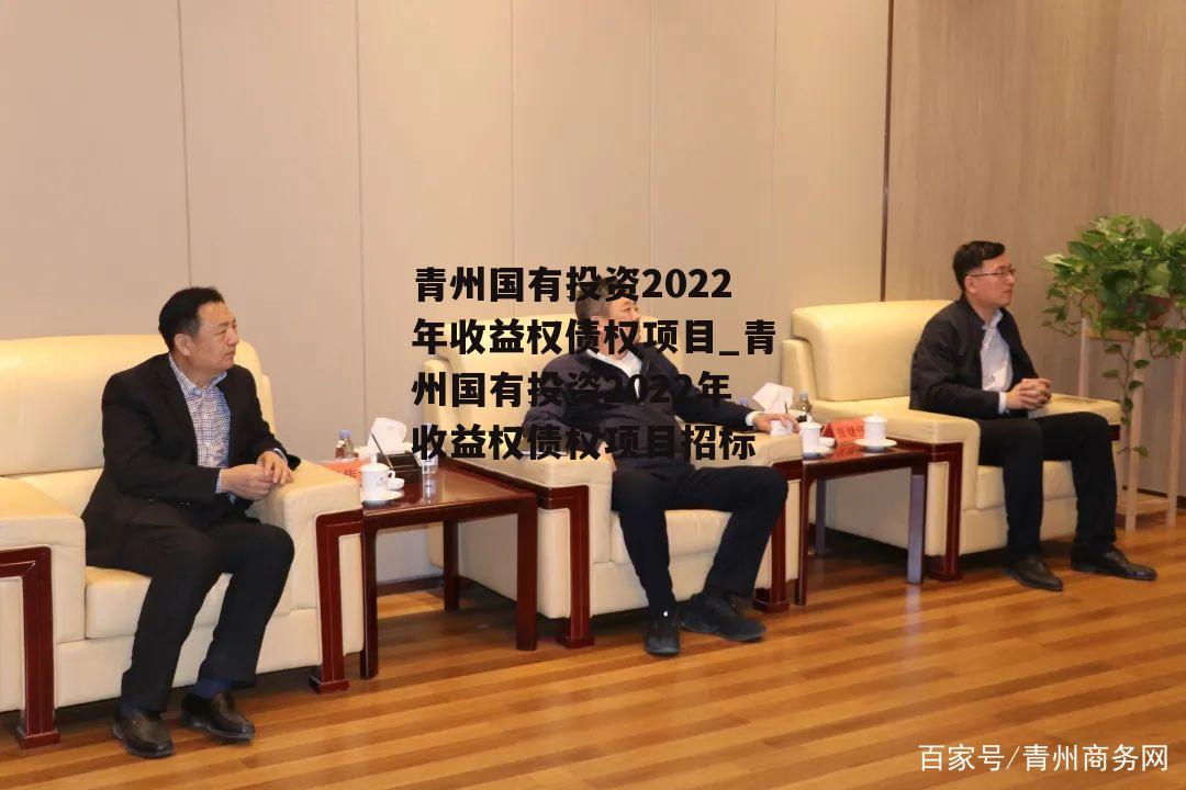 青州国有投资2022年收益权债权项目_青州国有投资2022年收益权债权项目招标