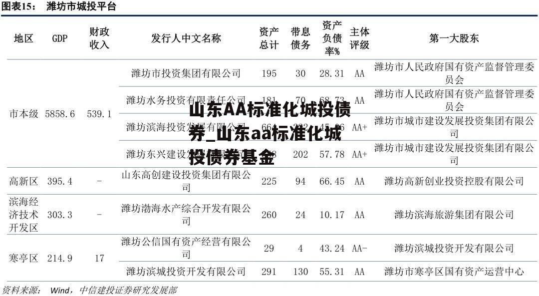 山东AA标准化城投债券_山东aa标准化城投债券基金