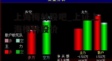 上海梅林股吧_上证上海梅林股价