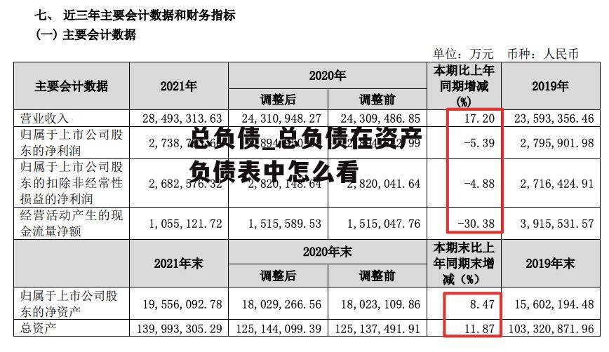 总负债_总负债在资产负债表中怎么看