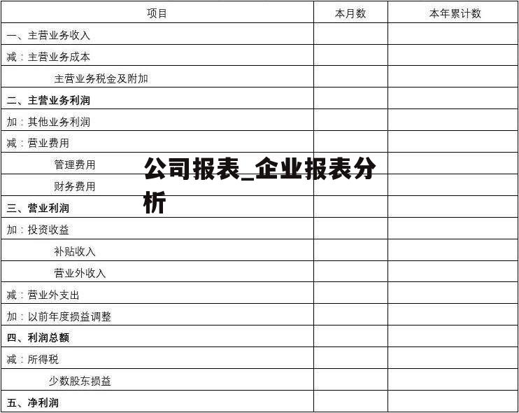 公司报表_企业报表分析