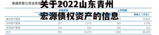 关于2022山东青州宏源债权资产的信息