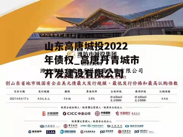 山东高唐城投2022年债权_高唐丹青城市开发建设有限公司